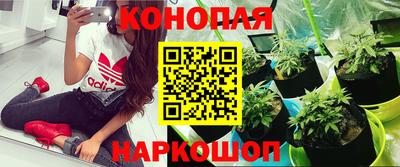 COCAINE Будённовск