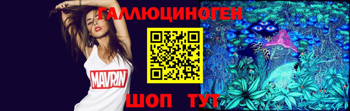Псилоцибиновые грибы Cubensis  Вход с VPN  Пятигорск 