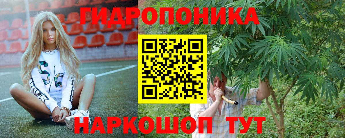 Шишки марихуана SATIVA & INDICA Пятигорск